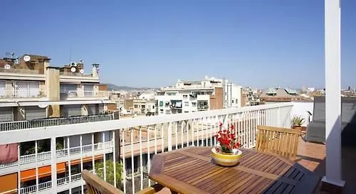 Central Terrace contacts